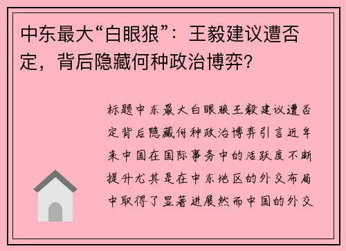 中东最大“白眼狼”：王毅建议遭否定，背后隐藏何种政治博弈？