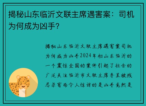 揭秘山东临沂文联主席遇害案：司机为何成为凶手？